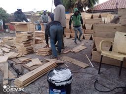 Assorted bee accessories