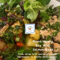 Plant-Heavy Box with Salmon Bites