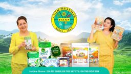 Yacon_Shwe Nwe Yoe Herbal Tea