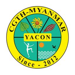 Yacon_Shwe Nwe Yoe Herbal Tea