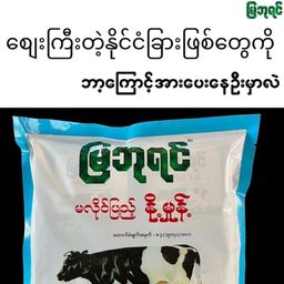 မြဘုရင်_နို့မှုန့်