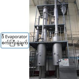 မြဘုရင်_နို့မှုန့်