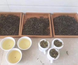 ပွဲတော်အုပ်_လက်ဖက်ခြောက် Collection