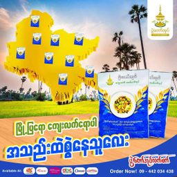 ပွဲတော်အုပ်_ကျေးလက်လက်ဖက်သုတ်