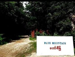 Morning_Instant Coffee