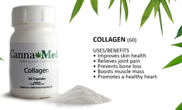 Collagen 60