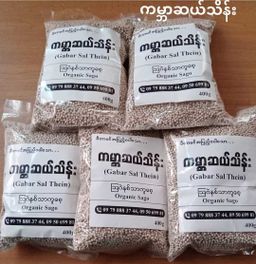 ကမ္ဘာဆယ်သိန်း_သာကူစေ့