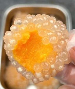 ကမ္ဘာဆယ်သိန်း_သာကူစေ့