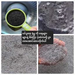 ကမ္ဘာဆယ်သိန်း_သာကူစေ့