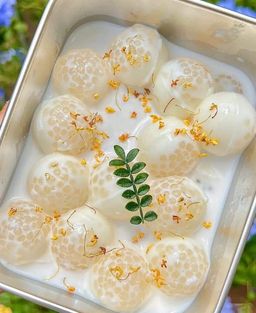 ကမ္ဘာဆယ်သိန်း_သာကူစေ့