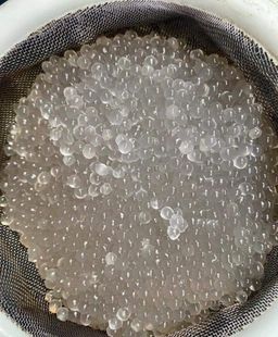 ကမ္ဘာဆယ်သိန်း_သာကူစေ့