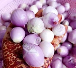 လယ်တော_မုန့်ဟင်းခါး