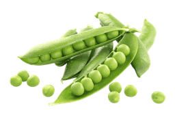 Green Peas (Mattar) 