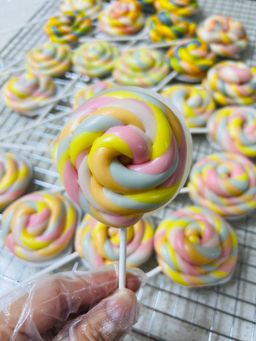 Lollipop 🍭 Bun (Pack of 4) 