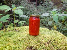 Homemade Tomato & Chili Sauce 650g (No Added Preservatives) 