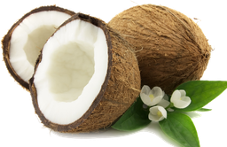 Dry Semi Husked Coconut 