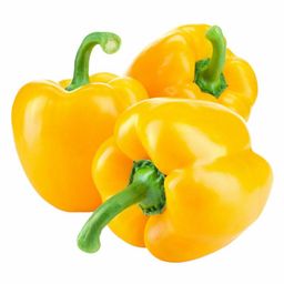 Capsicum 