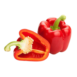 Capsicum 