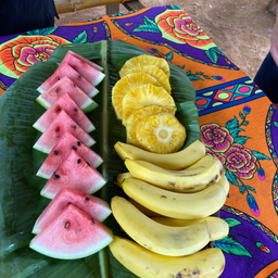 COMUNIDAD EMBERÁ DRUÁ