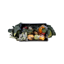 Fresh Vegetables & Fruit