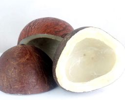 Copra Black (Andu Cobbera, Coconut)