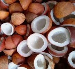 Copra Red (Yerra Cobbera, Coconut)