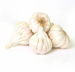 Lassan Medium (Garlic, Tellagaddalu)