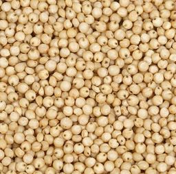 Jowar (SORGHUM MILLETS)