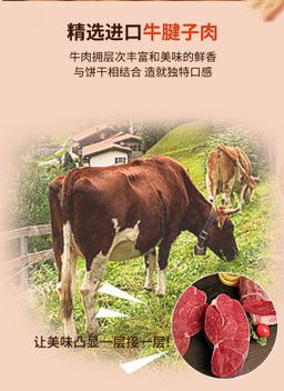 牛肉馅酥脆饼干 1kg | 添加10.3%牛肉松 添加2.36%进口黄油 精选进口牛腱子肉制作牛肉松
