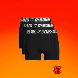 ROPA INTERIOR MASCULINA