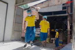 မြင့်မြင့်ခင်_မြေပဲဆီသန့်