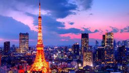 Tokyo private one day tour