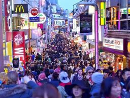 Tokyo private one day tour