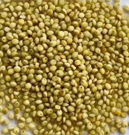 Aandu Korralu (Brown Top Millets) 1 kg