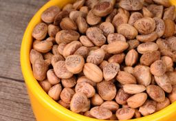 Charoli - Jumbo (Chironji, Sarapappu)