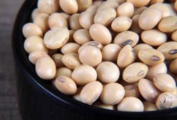 Soya Beans