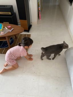 Play with Tanso for 30 minutes