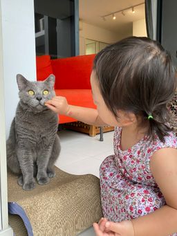 Work Hard - "I for you Hooman"