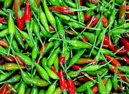 Petit piment / Small chilli