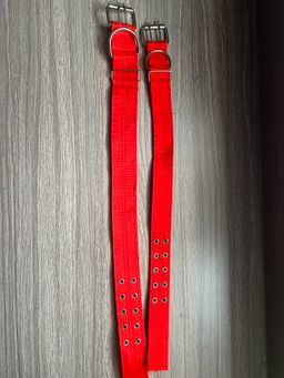 Heavy duty dog collar