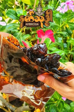 Ambrosia_နတ်သုဒ္ဓါ စုံတောမြိုင်ယိုစုံ #
