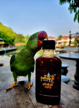 Ambrosia_နတ်သုဒ္ဓါ နတ်သမီးသုတ် အနှစ်ဘူး#