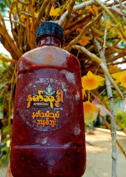 Ambrosia_နတ်သုဒ္ဓါ နတ်သမီးသုတ် အနှစ်ဘူး#