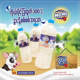 Mo Mo_နို့အေး