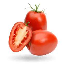 Tomato