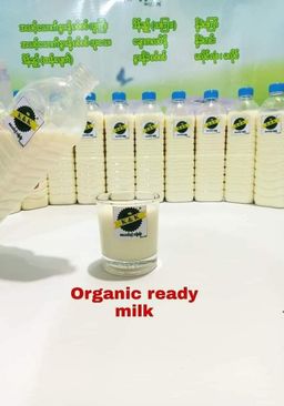 K & K_Milk & Milk Cake