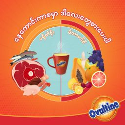 Ovaltine_Power Maxx