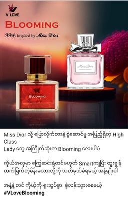 V Love_Luxury Perfume