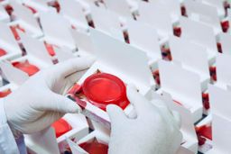 V Love_Feminine Cleaning Soap