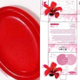 V Love_Feminine Cleaning Soap